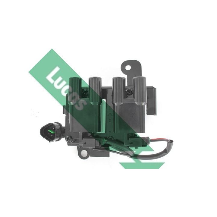 Ritė, uždegimas LUCAS DMB935