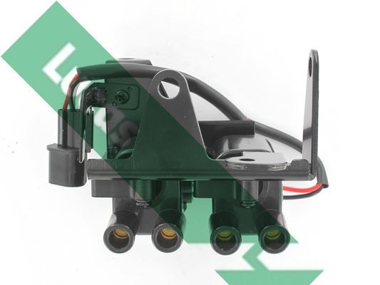 Ritė, uždegimas LUCAS DMB935