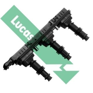 Ritė, uždegimas LUCAS DMB936