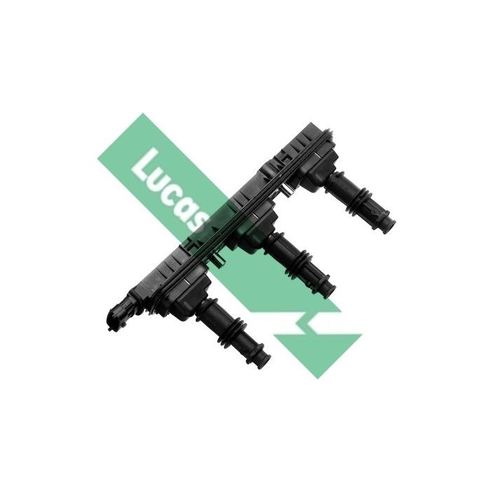 Ritė, uždegimas LUCAS DMB936