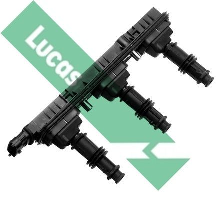 Ritė, uždegimas LUCAS DMB936