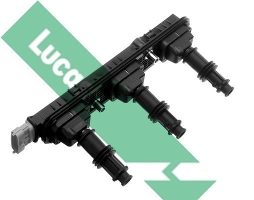 Ritė, uždegimas LUCAS DMB937