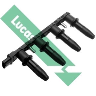 Ritė, uždegimas LUCAS DMB939