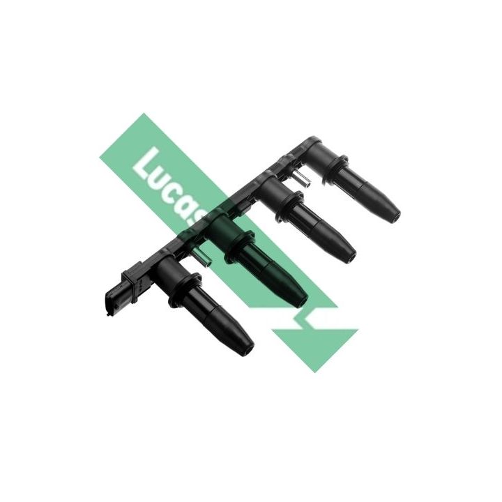 Ritė, uždegimas LUCAS DMB939