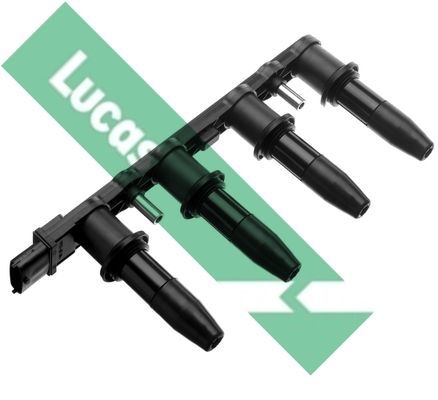 Ritė, uždegimas LUCAS DMB939