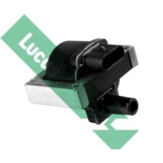 Ritė, uždegimas LUCAS DMB943