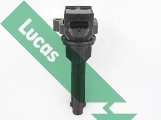 Ritė, uždegimas LUCAS DMB944
