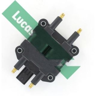Ritė, uždegimas LUCAS DMB966