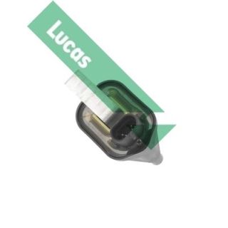 Ritė, uždegimas LUCAS DMB968