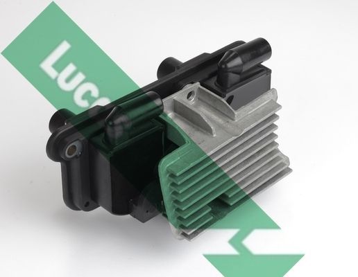 Ritė, uždegimas LUCAS DMB981