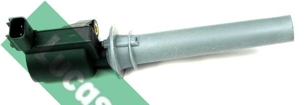 Ritė, uždegimas LUCAS DMB982