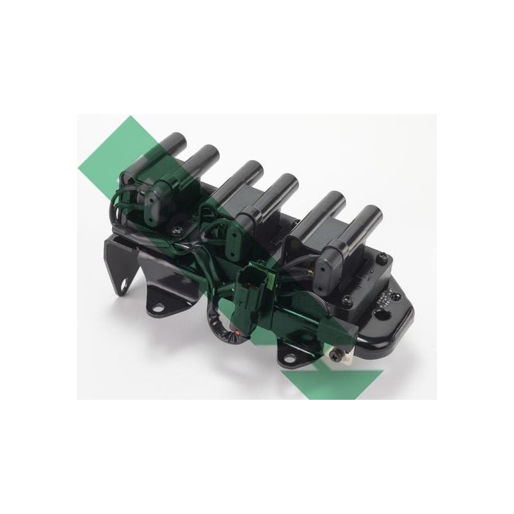 Ritė, uždegimas LUCAS DMB991