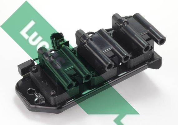 Ritė, uždegimas LUCAS DMB991