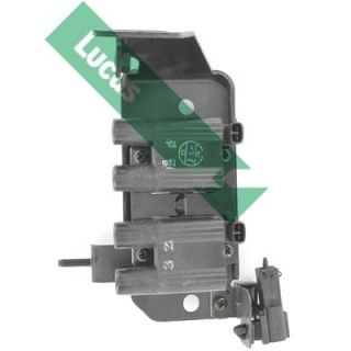 Ritė, uždegimas LUCAS DMB999