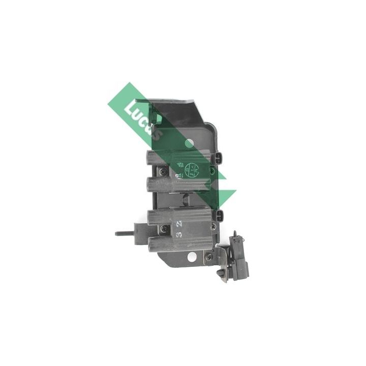 Ritė, uždegimas LUCAS DMB999