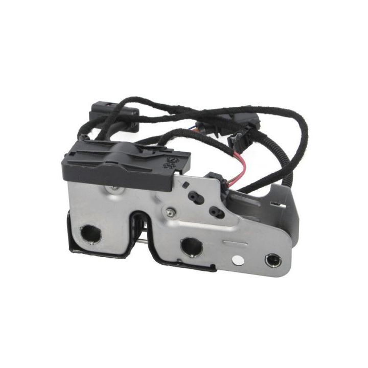 Gaubto užraktas BLIC 6010-01-1583424P