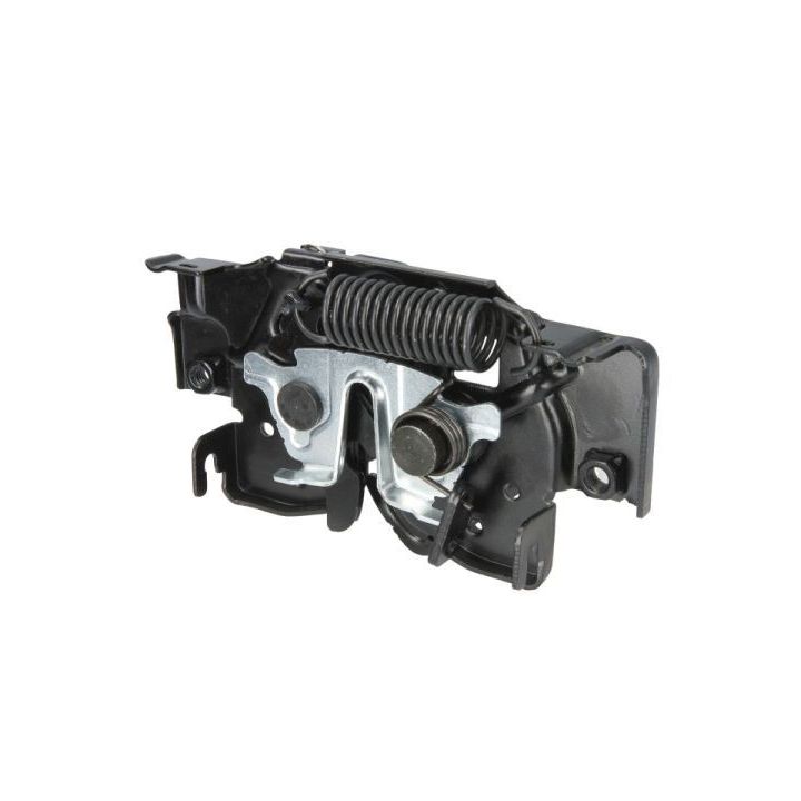 Gaubto užraktas BLIC 6010-14-028424P