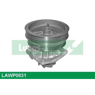 Vandens siurblys, variklio aušinimas LUCAS LAWP0831