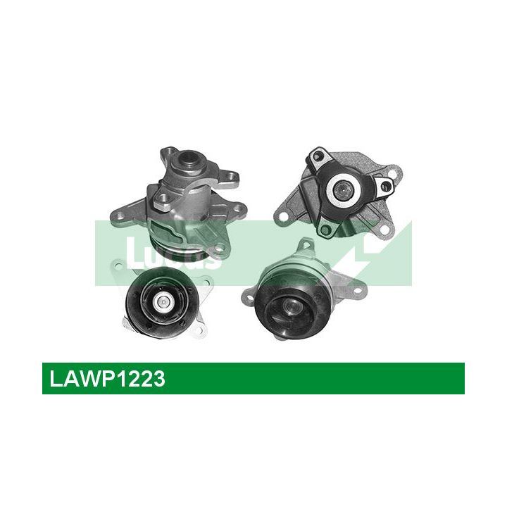 Vandens siurblys, variklio aušinimas LUCAS LAWP1223