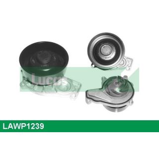 Vandens siurblys, variklio aušinimas LUCAS LAWP1239