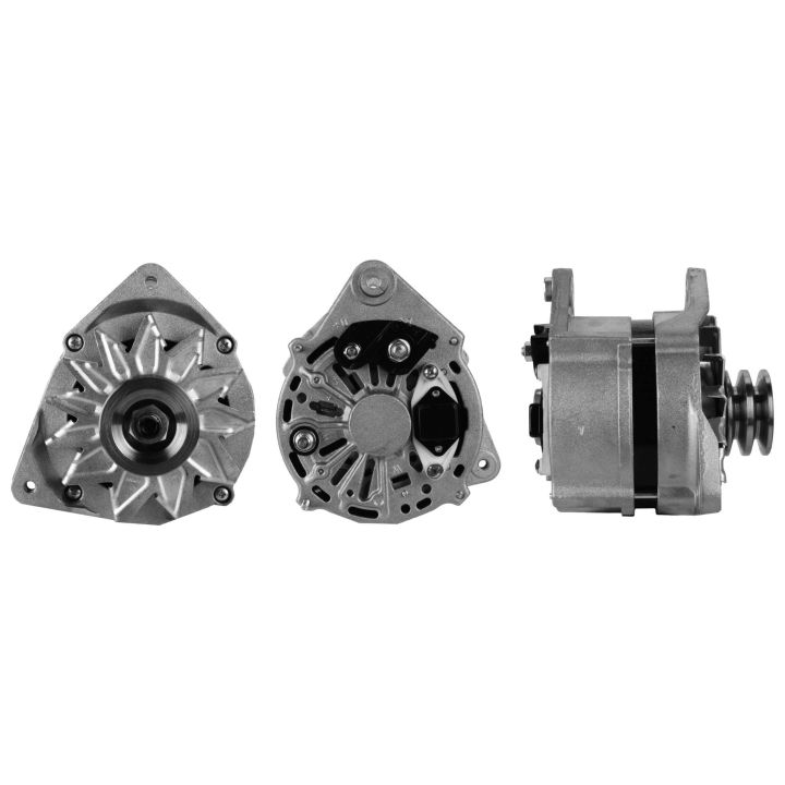 Kintamosios srovės generatorius DRI 219107902