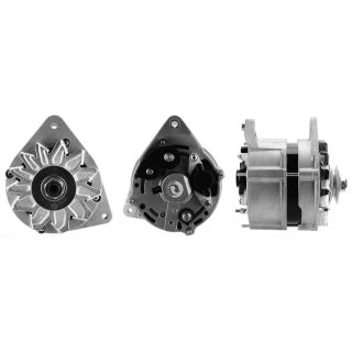 Kintamosios srovės generatorius DRI 219109702