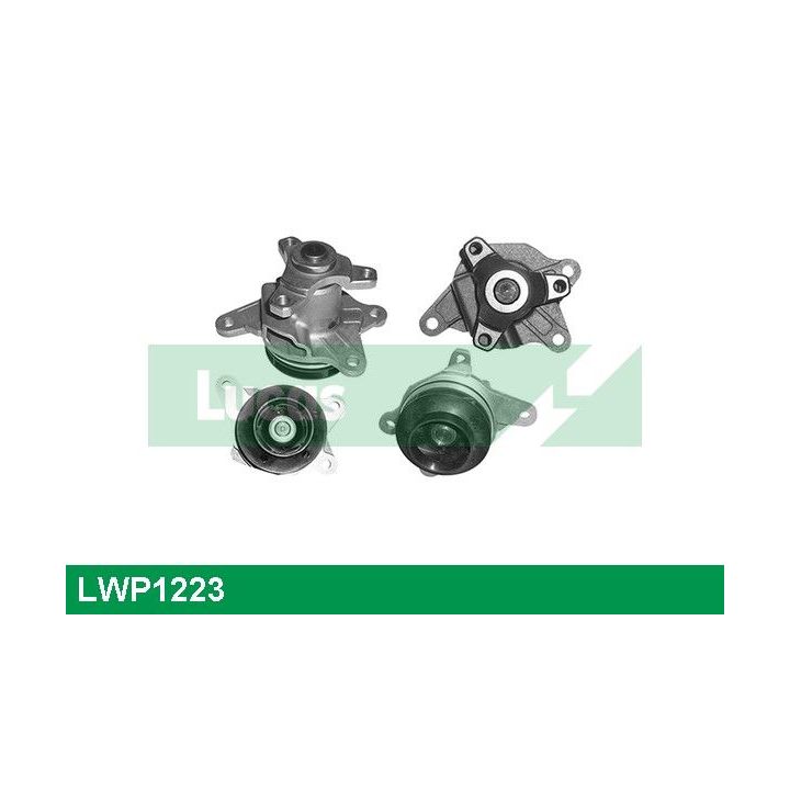 Vandens siurblys, variklio aušinimas LUCAS LWP1223