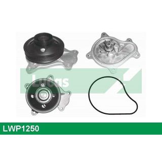 Vandens siurblys, variklio aušinimas LUCAS LWP1250