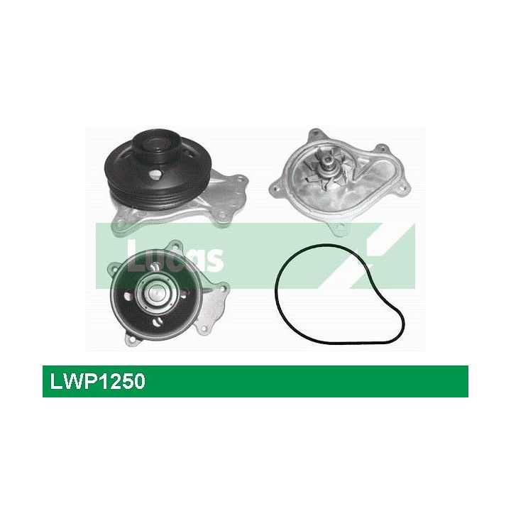 Vandens siurblys, variklio aušinimas LUCAS LWP1250