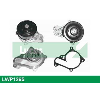 Vandens siurblys, variklio aušinimas LUCAS LWP1265