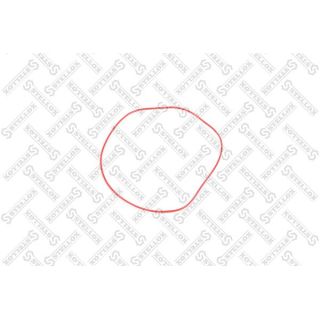 Cilindro įvorės tarpiklis STELLOX 11-25436-SX