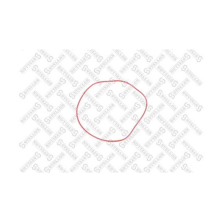 Cilindro įvorės tarpiklis STELLOX 11-25436-SX