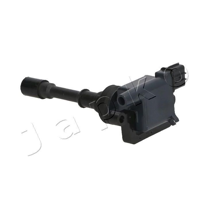 Ritė, uždegimas JAPKO 78500