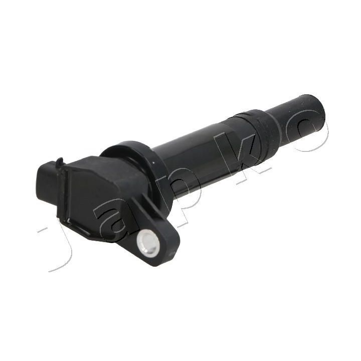 Ritė, uždegimas JAPKO 78H21