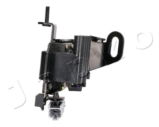 Ritė, uždegimas JAPKO 78K06