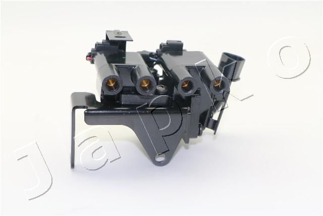 Ritė, uždegimas JAPKO 78K21