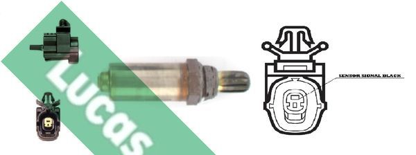 Lambda jutiklis LUCAS LEB5190