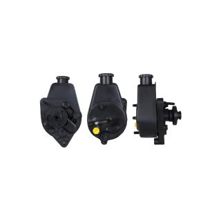 Hidraulinis siurblys, vairo sistema DRI 715520280