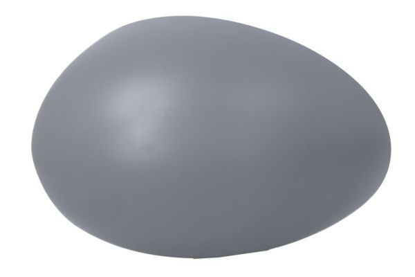 Korpusas, išorinis veidrodėlis BLIC 6103-01-1311952P