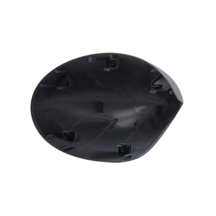 Korpusas, išorinis veidrodėlis BLIC 6103-01-1311952P