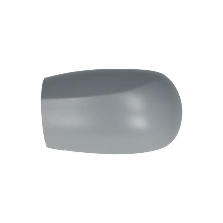 Korpusas, išorinis veidrodėlis BLIC 6103-01-1321329P