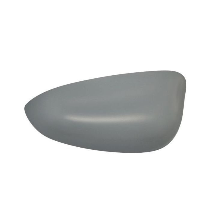 Korpusas, išorinis veidrodėlis BLIC 6103-01-1321552P