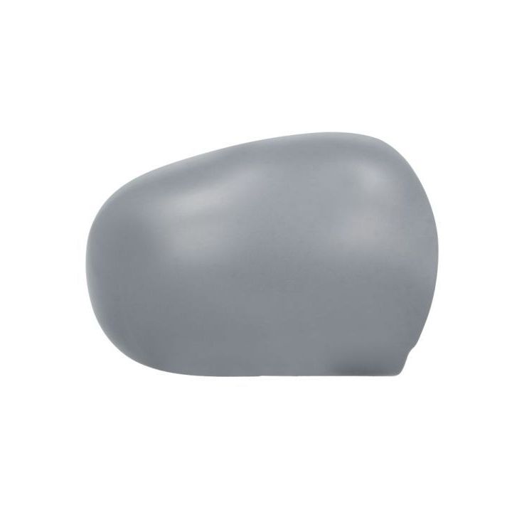 Korpusas, išorinis veidrodėlis BLIC 6103-01-1322112P