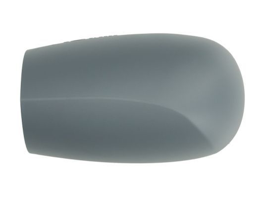 Korpusas, išorinis veidrodėlis BLIC 6103-01-1322329P