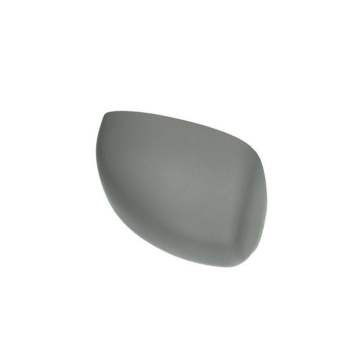 Korpusas, išorinis veidrodėlis BLIC 6103-01-1322930P