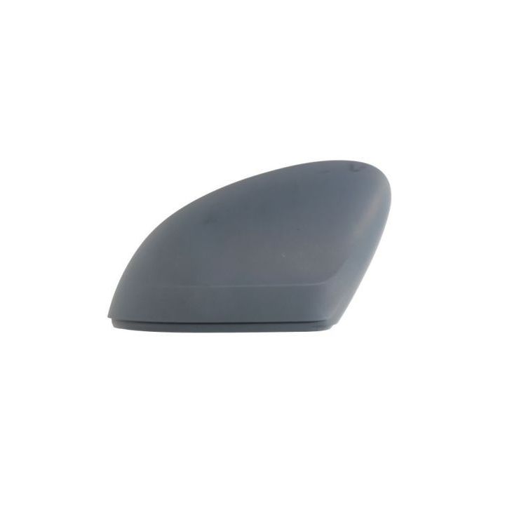 Dangtelis, išorinis veidrodėlis BLIC 6103-01-2002685P