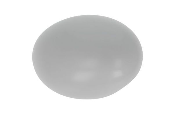 Korpusas, išorinis veidrodėlis BLIC 6103-05-2001842P