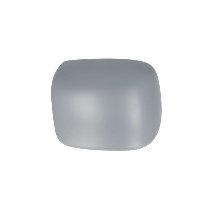 Korpusas, išorinis veidrodėlis BLIC 6103-07-039352P