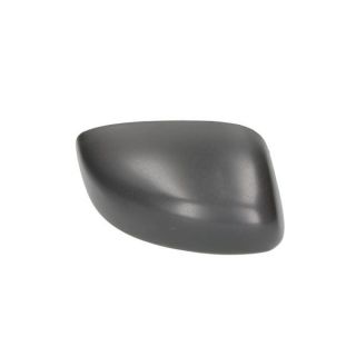 Korpusas, išorinis veidrodėlis BLIC 6103-07-2001168P