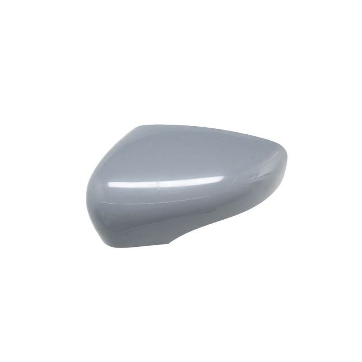 Korpusas, išorinis veidrodėlis BLIC 6103-09-2002111P